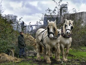 Ferme du bonheur ©Patrice Guyot - Nanterre tourisme