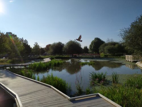 Parc chemin de lILE © OTN 08 2021 CL 124 - Nanterre tourisme