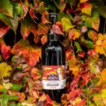 ©Antoine Chalubert Nemeto boulevard du couchant 1 - Nanterre tourisme