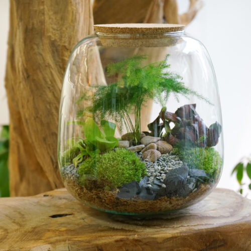 Terrarium Leon M - Nanterre tourisme