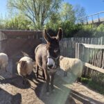 20260408 093516 - Nanterre tourisme