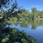 IMG 2086 - Nanterre tourisme