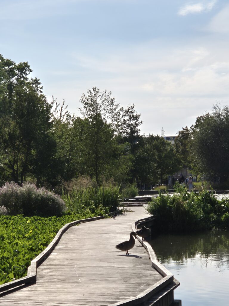 1000056415 - Nanterre tourisme