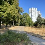 IMG 6567 - Nanterre tourisme